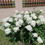 Szilasi Vendeghaz